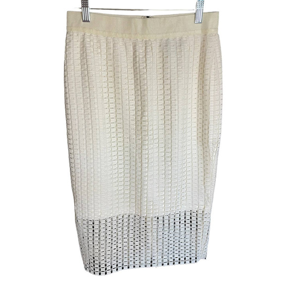 NWT Ann Taylor Classic Fit Geometric Lace Pencil Skirt Back Zip Size 2 Ivory - Picture 1 of 6